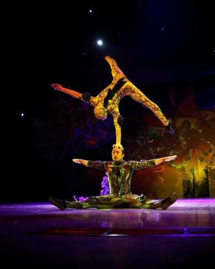 Ringling Bros. and Barnum & Bailey Circus Saint Paul